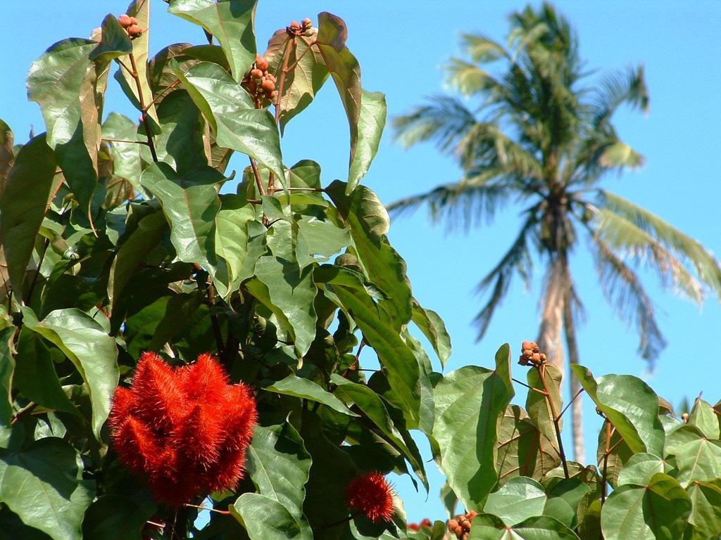 Princess Salme Inn Zanzibar Zewnętrze zdjęcie